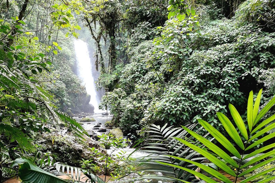 Monteverde Watherfalls Trails