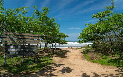 Nosara Beach Costa Rica Surfing